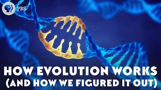 How Evolution Works And How We Figured It Out [upl. by Lyndsie]