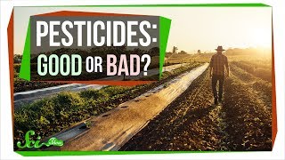 How Safe Are Pesticides Really [upl. by Cerell123]