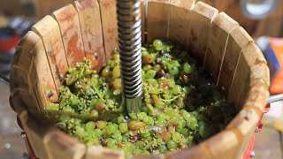 Making a White Wine from Grapes [upl. by Aja]