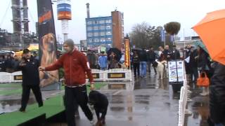 Rottweiller attacks another dog at dog show [upl. by Justine]