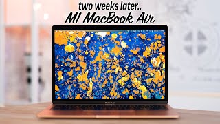 Apple M1 MacBook Air Honest Review  We Were Wrong [upl. by Rettke514]