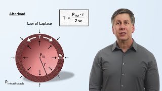 Cardiac Mechanics preload afterload contractility ejection fraction and cardiac output [upl. by Nomrac]