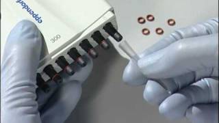 How to replace the Orings on your Eppendorf Research® plus multichannel pipette [upl. by Derick]