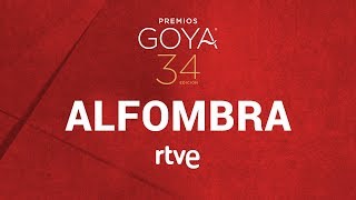 ALFOMBRA ROJA DE LOS PREMIOS GOYA 2020 [upl. by Derry]