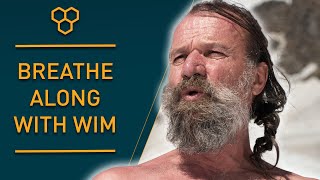 Breathe Along with Wim Hof  Guided Breathing [upl. by Onateag89]