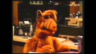 ALF CHATS [upl. by Moyer]