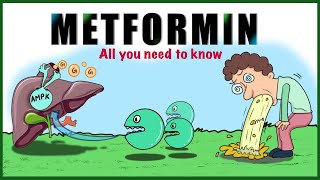 Metformin Uses Mechanism of action Side effects Contraindications [upl. by Dnomal]