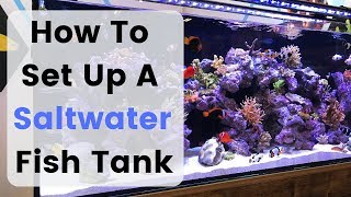 How To Set Up Build A Saltwater Fish Tank  Aquarium [upl. by Etka85]