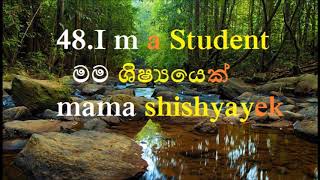 Learn Sinhala  100 Useful Phrases amp Basic Words with Audio Part 1 [upl. by Inalel293]