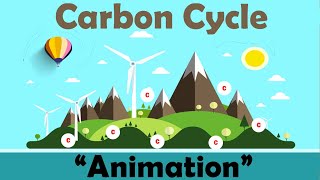 CARBON CYCLE  Biology Animation [upl. by Nador]