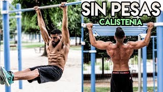 LOS MEJORES EJERCICIOS POR CADA GRUPO MUSCULAR SIN PESAS [upl. by Placida]