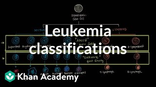 Leukemia classifications  Hematologic System Diseases  NCLEXRN  Khan Academy [upl. by Llevaj646]