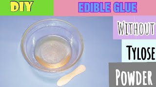 DIY Homemade Edible Glue Without Tylose Powder Easy Edible Glue [upl. by Pears]