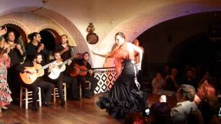 Flamenco Cordobés in Barcelona バルセロナ フラメンコ [upl. by Alenas836]