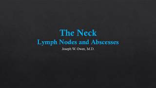 Neck US  Lymph Nodes and Abscesses [upl. by Henebry]