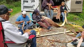 Whats Cedar Bark Harvesting [upl. by Theodoric]