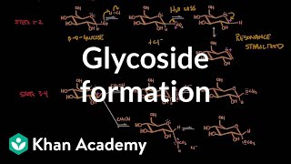 Carbohydrate  Glycoside formation hydrolysis  Chemical processes  MCAT  Khan Academy [upl. by Barnes]