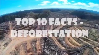 10 Deforestation Facts [upl. by Soelch]