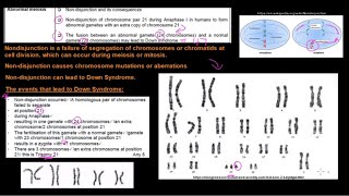 Grade 12 Life Sciences Meiosis Part 3 [upl. by Seravart]