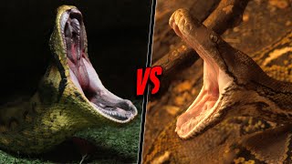 GREEN ANACONDA VS RETICULATED PYTHON  Who Would Win [upl. by Johannes763]