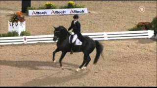 Totilas amp Edward Gal WEG Grand Prix Freestyle [upl. by Arral]