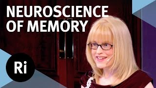 The Neuroscience of Memory  Eleanor Maguire [upl. by Eannaj464]