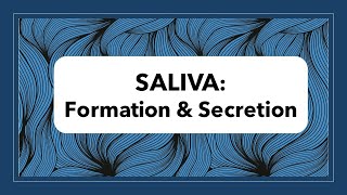 Saliva Formation amp Secretion [upl. by Theressa519]