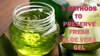 Preserve Aloe Vera Gel At Home [upl. by Gnni308]