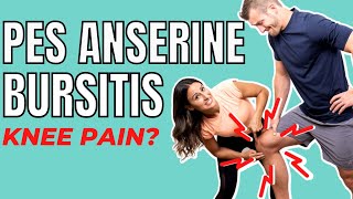 Pes Anserine BursitisTendinitis Evaluation [upl. by Eekram]