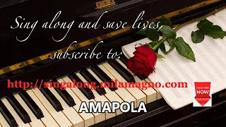 Amapola with Spanish and English lyrics [upl. by Weidar]