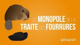 Le monopole de la traite des fourrures  Histoire  Alloprof [upl. by Ulane]