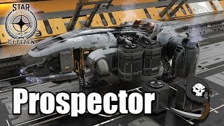 MISC Prospector Ship Tour  Star Citizen [upl. by Sirron97]