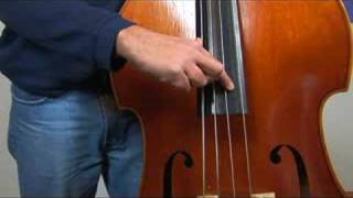 Upright Bass for Beginners  Playing Upright Bass Pizzicato With Fingers [upl. by Lenoj]