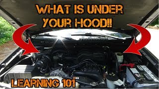 Car Learning  Whats Under Your Hood [upl. by Ravo]