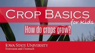 Crops for Kids How do crops grow [upl. by Ellita]