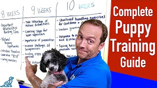 Your Complete Puppy Training Schedule By Age [upl. by Crofton841]