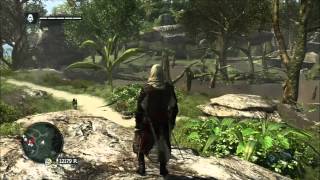 Assassins Creed 4 Get Great Inagua Treasure Map [upl. by Htebilil]