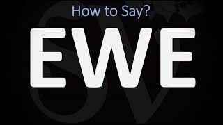 How to Pronounce Ewe CORRECTLY [upl. by Tillio229]