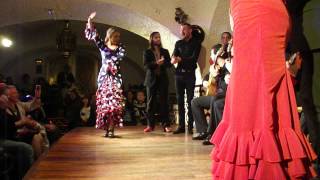 Flamenco at Tablao Cordobés Las Ramblas Barcelona [upl. by Atikin76]