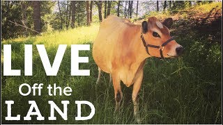 Living off the Land  Feed Your family from Your homestead [upl. by Beau228]