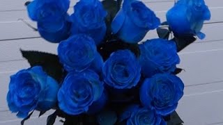 How to make blue roses [upl. by Yoshio]