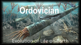 Late Ordovician Mass Extinction Ordovician  Silurian [upl. by Kizzee]