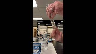 Aldehyde amp Ketone Reactions Experiment [upl. by Wenz]