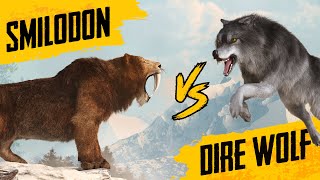 Sabertooth Tiger VS Dire Wolf  Size comparison [upl. by Yelsna]