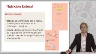 NUTRICIÓN ENTERAL GENERALIDADES [upl. by Anneehs]