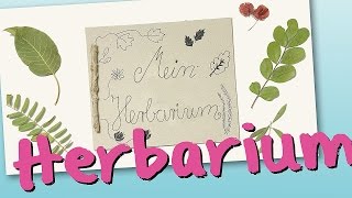 Herbarium [upl. by Emyam]