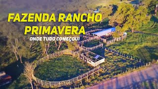 Imperdível  Fazenda Rancho Primavera  Onde nosso sonho começou [upl. by Novaelc20]