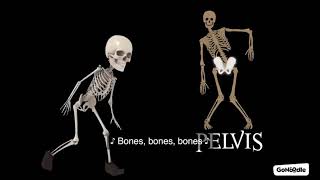 Bones Bones Bones [upl. by Hessney]