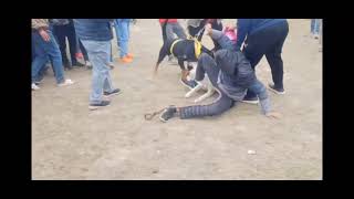 Rottweiler attack Siberian Husky Fight  Dog Show [upl. by Aitnis]