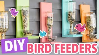 DIY Bird Feeders [upl. by Ennirac554]